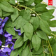 Simulated Wisteria Flower Decorative Plastic Ceiling Air Conditioning Pipeline