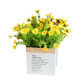 Chamomile simulated flower decoration living room dining table flower decoration