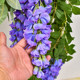 Simulated Wisteria Flower Decorative Plastic Ceiling Air Conditioning Pipeline