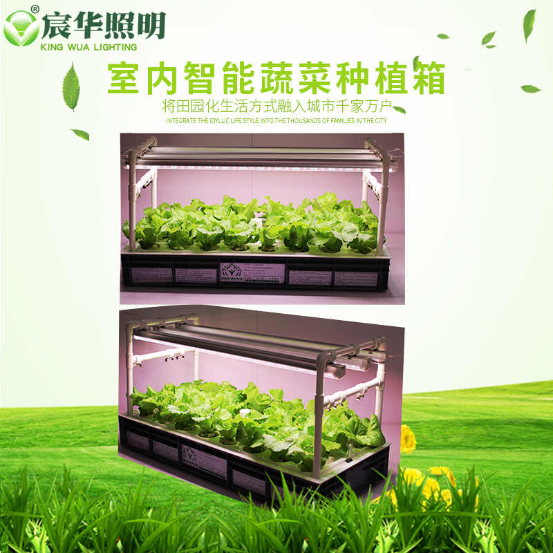 水培蔬菜箱 新人首单立减十元 22年9月 淘宝海外 水培蔬菜箱 新人首单立减十元 22年9月 淘宝海外