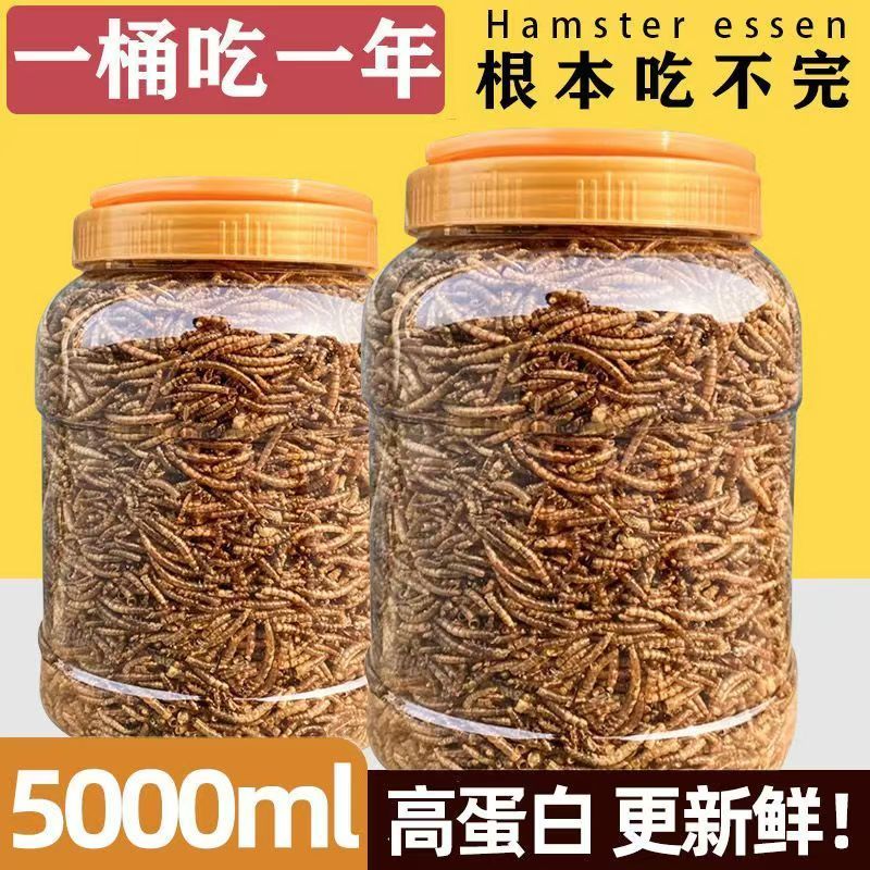 面包虫干黄粉虫干仓鼠粮食龟粮鱼食八哥鸟食芦丁鸡饲料宠物零食 - 图1