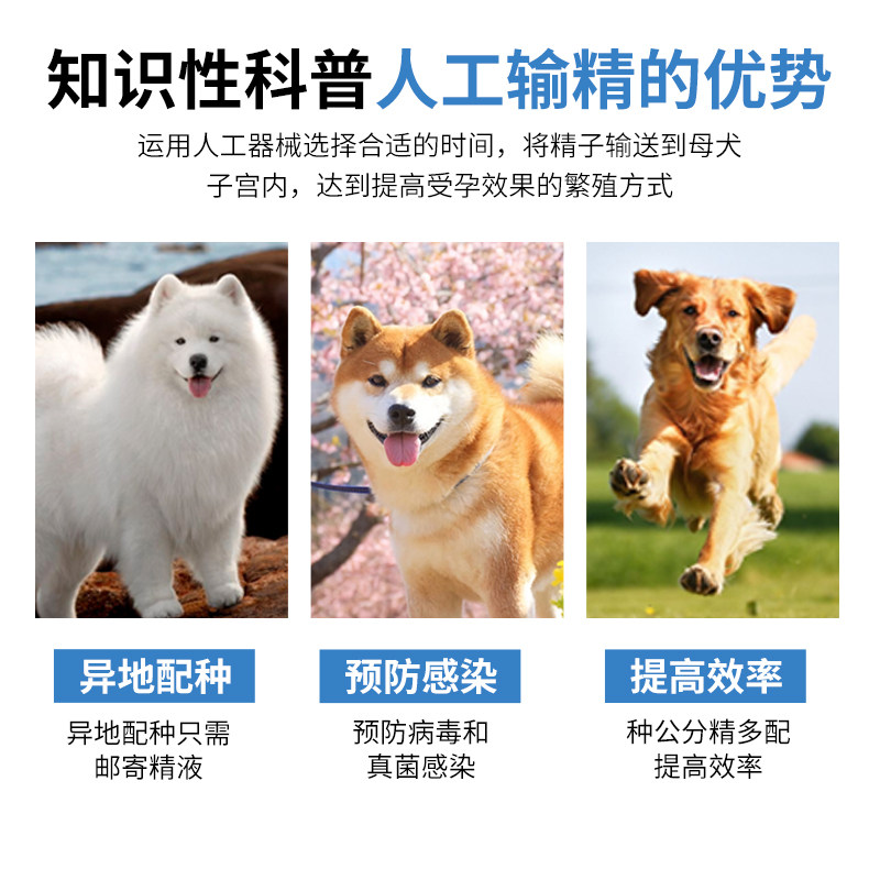 狗狗输精管兽用犬用输精工具宠物一次性采精人工授精管狗配种神器,淘宝优惠券,粉丝福利购,淘宝优惠卷