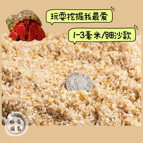 寄居蟹专用沙免洗海沙垫材保湿垫材底砂造景装饰铺面乌龟饲养箱 - 图0