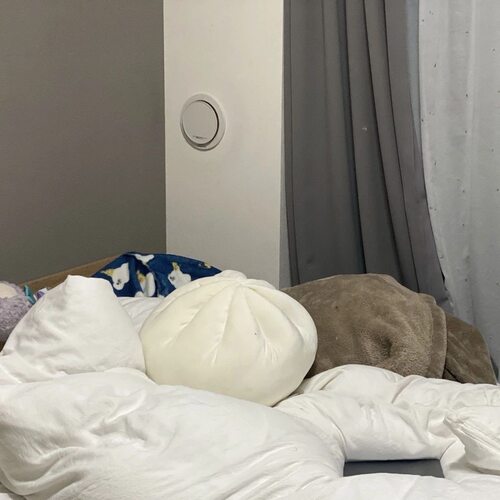 趣奇商店ins肉包抱枕小笼包子玩偶卧室沙发宿舍靠枕创意懒人抱枕 - 图3