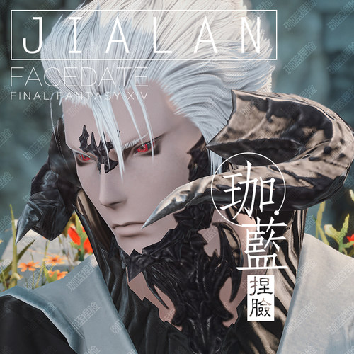 【珈蓝】ff14最终幻想14捏脸数据脸型敖龙族龙男暮晖酷帅【泱】 - 图0