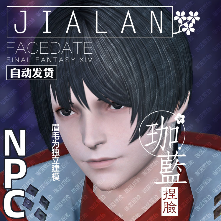 【珈蓝】最终幻想14 ff14捏脸数据脸型人类人族人男 NPC【朝阳】-图0