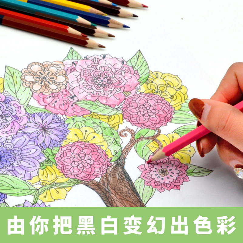 【送24色彩铅】6册秘密花园儿童小学生画画涂画涂色书彩铅书绘画本填色书大人减压成人手绘涂鸦原版绘画神秘蜜奇幻梦幻解压书_虎窝淘