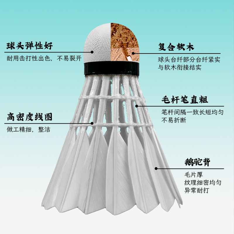 亚狮龙RSL羽毛球A10号耐打10号升级款鹅毛A9号AS9AC9品质A5羽毛球-图0