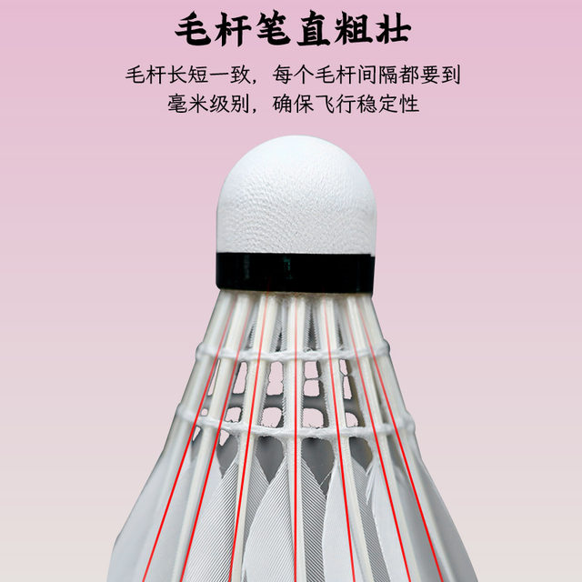 Kawasaki Badminton Binguo No. 6 10 resistant to playing