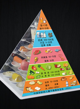 学龄前儿童膳食模型模型可定制