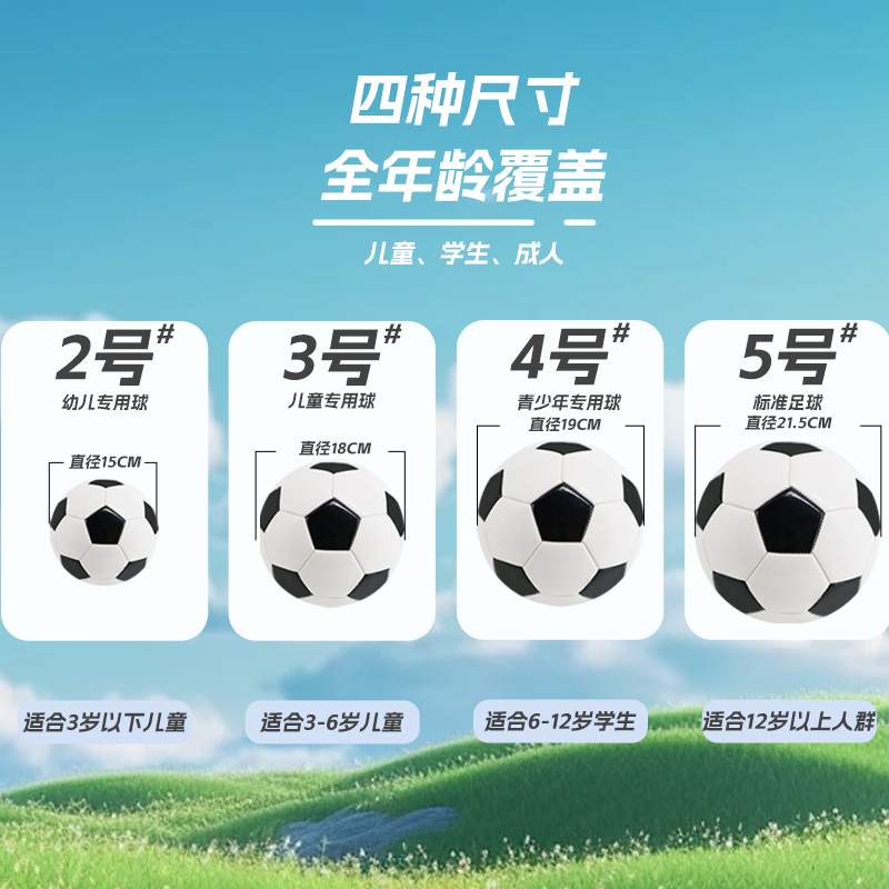 中考专用足球5号中小学生4号儿童2号幼儿3号PU加厚防爆成人标准球 - 图1