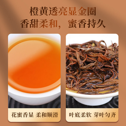 天之红祁门红茶香螺浓香型罐装茶叶正宗金奖纪念特一荣誉茶188g - 图2