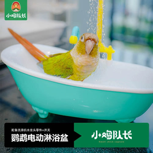 Птицы с ванной коробкой дно птица птица купается на ночь брат Сюанфенг Пейни Тигр Кожаные попугаи игрушки Большой артефакт