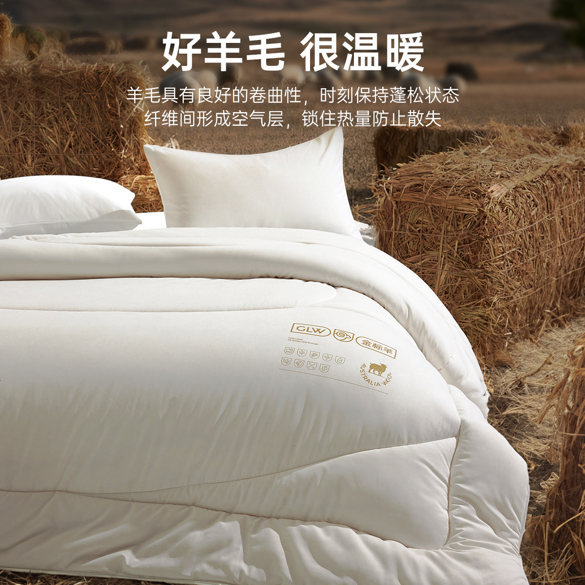 多喜爱羊毛被澳洲进口羊毛被加厚冬被保暖四季被春秋被宿舍被子,淘宝优惠券,粉丝福利购,淘宝优惠卷