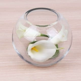 Стеклянный сферический прозрачный современный аквариум, простой и элегантный дизайн