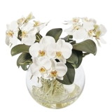 Стеклянный сферический прозрачный современный аквариум, простой и элегантный дизайн