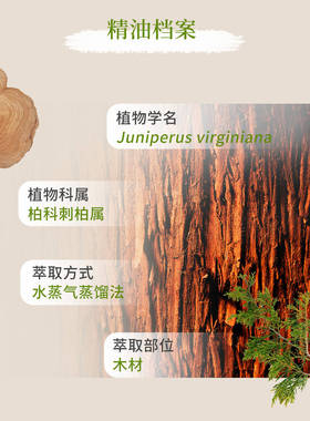 多特瑞美国滋润肌肤5年养发精油