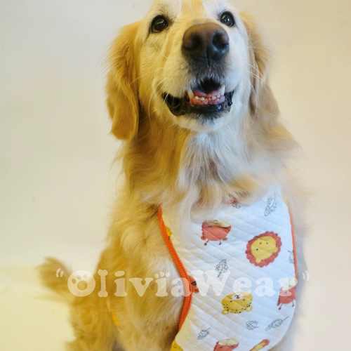 Маленький живот не боится того, что Liangxin Golden Retriever, Big Dog Teddy, утолщен четыре сезона теплый воздушный хлопок живот, домашние принадлежности