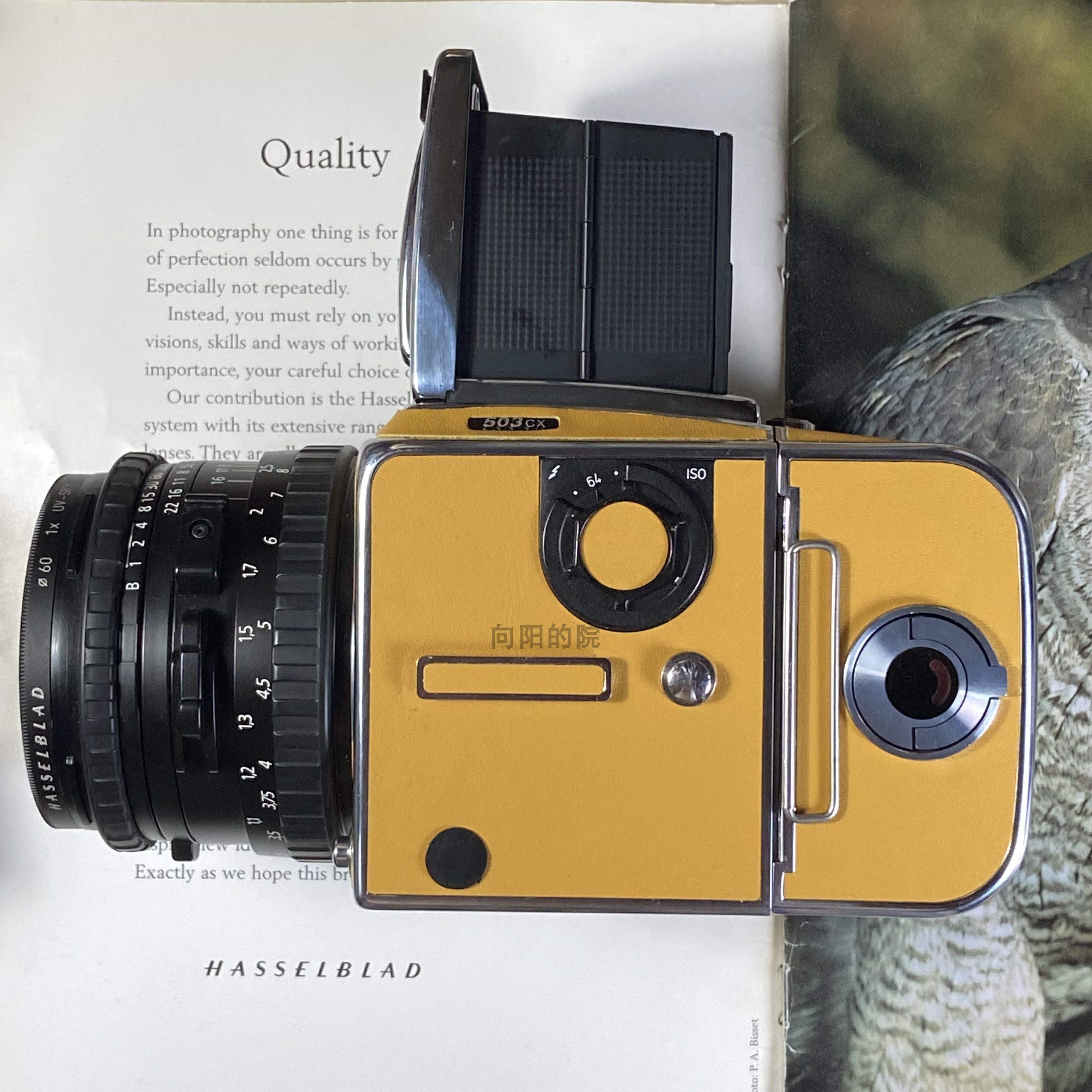 补邮费贴需要补几块拍几块