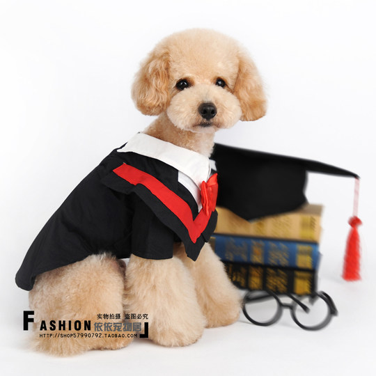 宠物衣服狗狗衣服变成装博士服猫狗毕业学士服不带帽两色入学生装