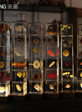 NEWKNG/流晶植物标本桌面摆件