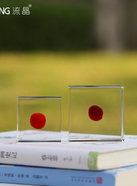 NEWKNG流晶进口树脂高透标本摆件