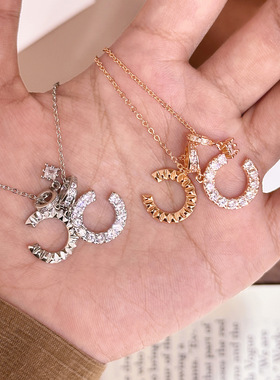 抖音爆品电镀闪钻C吊坠项链女ins时尚简约轻奢高级感不掉色锁骨链