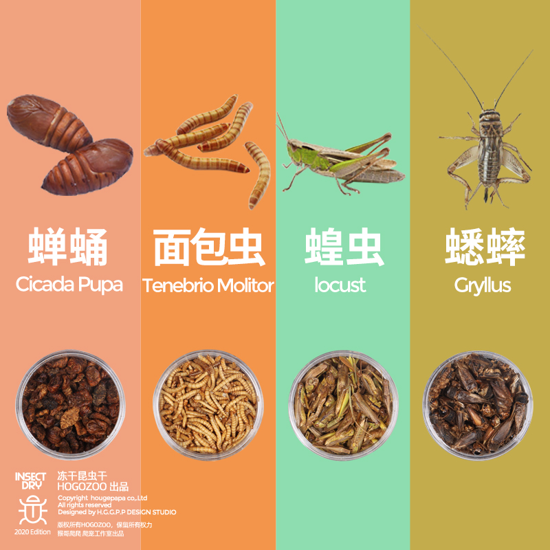 保鲜冻干面包虫蟋蟀爬虫守宫蜥蜴仓鼠龙鱼刺猬食物乌龟非活体饲料 - 图0