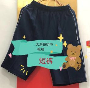 南海区大沥镇海北中学校服（夏装）-图0