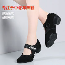 Square Dancing Shoes Women Shoes Summer Breathable Mesh Fabric Shoes Low Heel Soft Bottom Middle Aged Big Moms Dancing Shoes Black Two