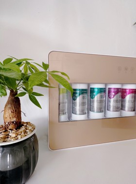直饮净水器超滤家用厨房除氯过滤机活性炭除铁锈器洗菜煮饭煲汤