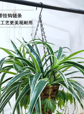 仿真绿植吊兰垂吊植物假花篮盆栽