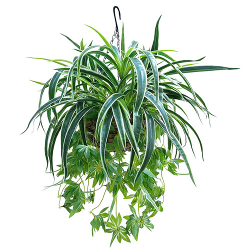 仿真绿植吊兰假花绿萝垂吊植物阳台客厅装饰仿真植物盆栽吊篮套装 - 图3
