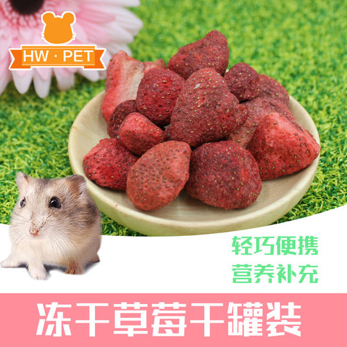 新品 香甜脆脆草莓干水果干冻干兔兔龙猫豚鼠仓鼠零食用品罐装50g - 图0
