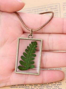 天然植物岩蕨干花项链女小清新