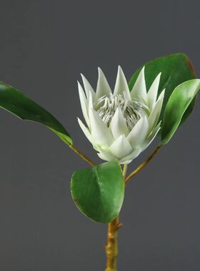 高档简约仿真花无花果 粉绿色小帝王花 客厅茶几摆放花样板间假花