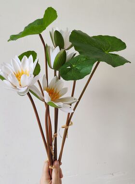 手感中式白色睡莲装饰花卉仿真花摆件客厅插花花艺莲叶仿真绿植
