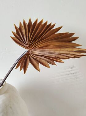 仿真叶棕榈叶室内装饰植物树叶子绿植叶蒲葵叶子PU仿真蒲扇芭蕉扇