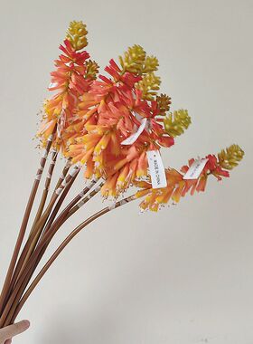 高品质仿真火炬花 小众花材 火把莲 拍摄道具 花艺落地装置设计
