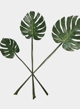 仿真花高端绿植 PU龟背叶春雨叶天堂鸟叶棕榈叶植物仿真叶子高质