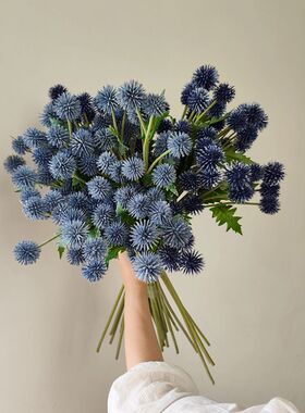 星插花室内中国球枝紫娟1