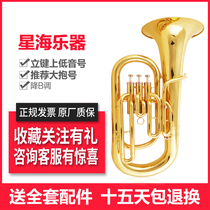 Upper bass number instrument drop B tone up key Three keys Specialty Large cuddle brass instrument Large number