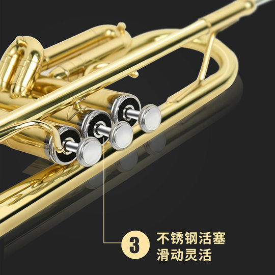 Jinbao genuine trumpet beginner band recommendation