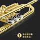 Jinbao genuine trumpet beginner band recommendation