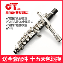 Starfish Golden Sound Silver plated E110 Short flute JYPC-E110