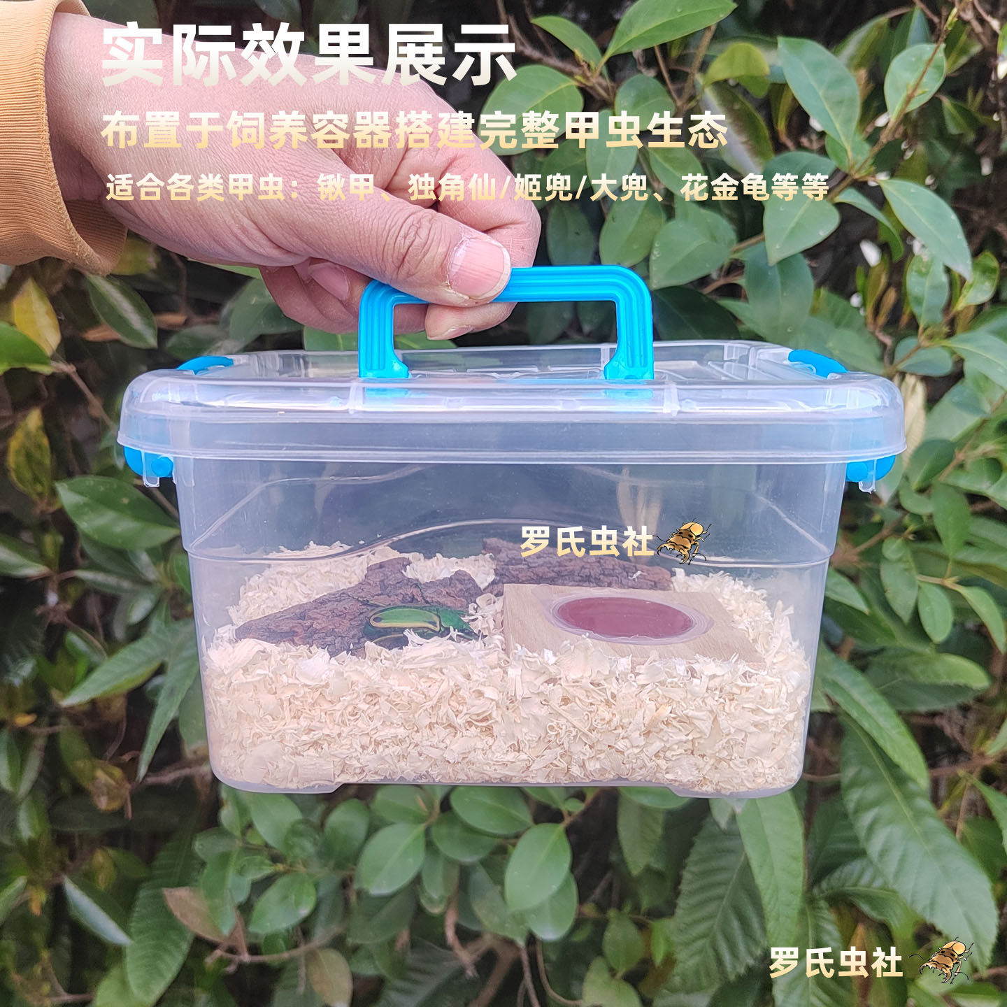 甲虫成虫垫材木屑独角仙兜虫锹甲花金龟保湿垫材除臭宠物昆虫饲养,淘宝优惠券,粉丝福利购,淘宝优惠卷