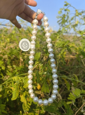 定制高级轻奢铂金灰精致5mm天然淡水珍珠项链近圆送礼闺蜜礼物