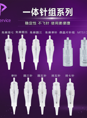 半永久纹绣一体针