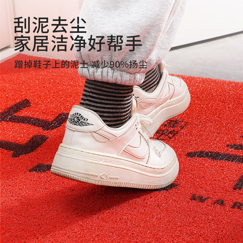 地垫入户门垫进门大门口免地毯用丝圈防滑脚垫室内玄关喜庆打理,淘宝优惠券,粉丝福利购,淘宝优惠卷