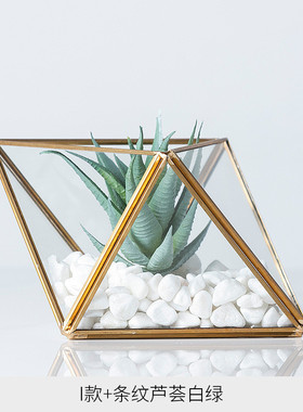 简约大气几何玻璃罩创意摆件容器桌面仿真盆栽客厅玄关橱窗装饰品